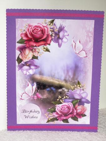 Soft Belle Epoque Roses by Wayne Swan