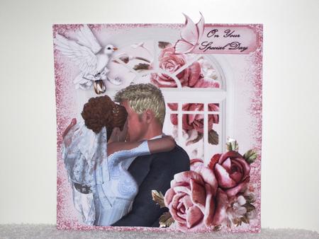 Kissing Wedding Couple with Pink Roses & Window 8x8 Mini Kit by Wayne Swan