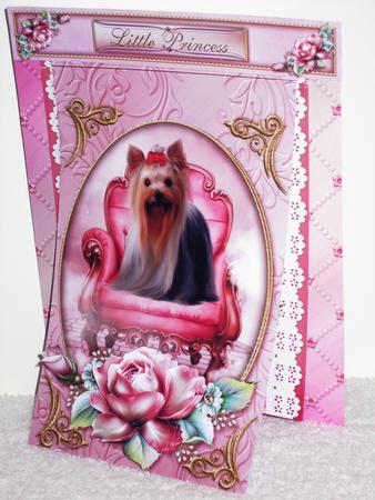 3 in 1 Little Princess by Wayne Swan