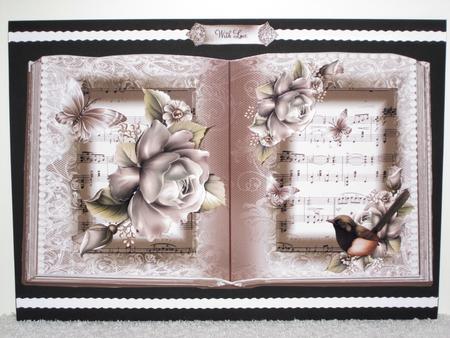Song Bird Music Book Style Kit by Wayne Swan