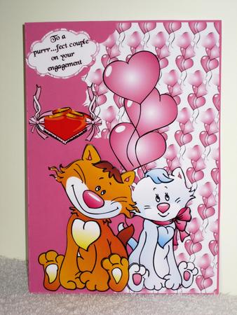 A Puurrfect Match by Wayne Swan
