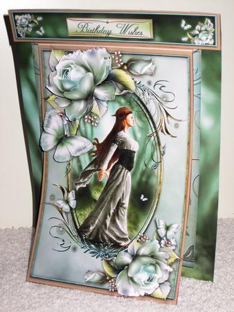 3 in 1 Enchanted Walk by Wayne Swan