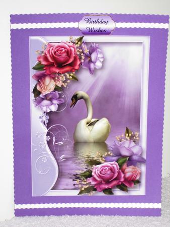 Serene Swan with Belle Roses by Wayne Swan