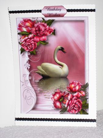 Serene Swan with Glory Roses by Wayne Swan