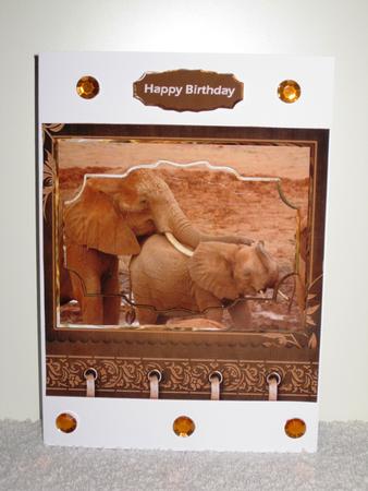 Elephant Wildlife Card with Shaped Layers by Wayne Swan
