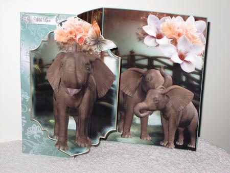 Beautiful No Holes Fold Forever Kit by Wayne Swan