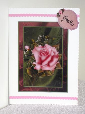 The Pink Rose by Wayne Swan