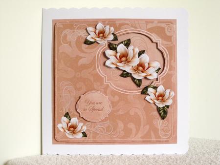 Peach Magnoila 8in Aperture Decoupage Cf Mini Kit by Wayne Swan