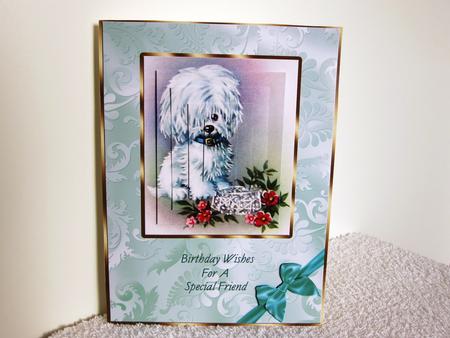 Puppy Pyramid Card - Special Friend by Wayne Swan