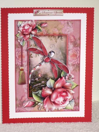 Dragonfly Delight by Wayne Swan