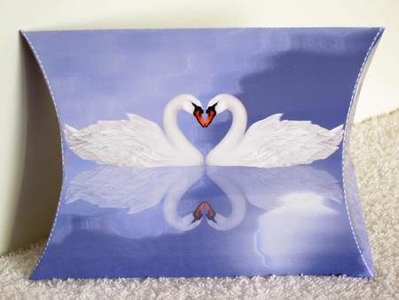 Beautiful Swan Lake Pillow Box by Wayne Swan