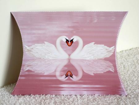 Beautiful Swans Pillow Box by Wayne Swan