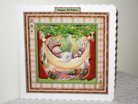Henry's Hammock 8x8 Mini Kit & Decoupage for Men by Wayne Swan