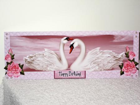 Pretty White Swans with Pink Roses in Lace Dl by Wayne Swan
