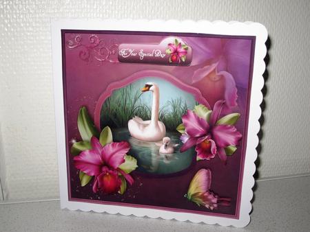 An Orchid Dream - 8" Square Card Mini Kit by Wayne Swan