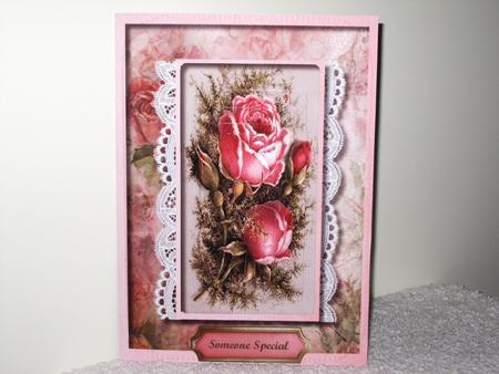 Beautiful Pink Roses on Vintage Lace  by Wayne Swan