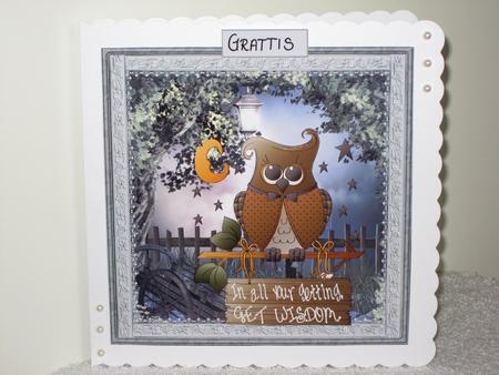 Owl of Wisdom Card with Decoupage by Wayne Swan