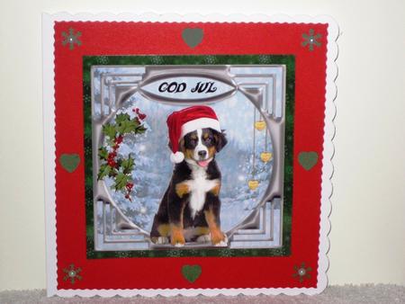 Xmas Doggy by Wayne Swan