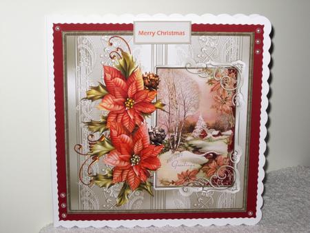 Snow Scene and Poinsettias Card by Wayne Swan