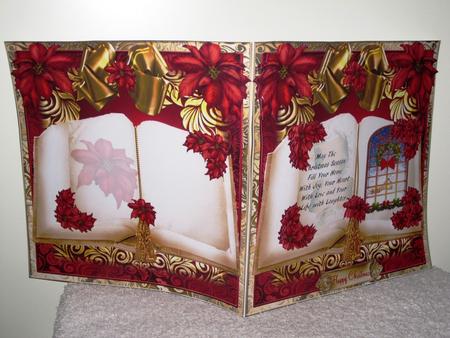 Insert to Compliment the Christmas Book by Wayne Swan