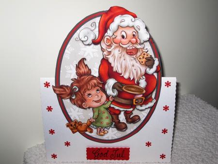 A Christmas Visitor by Wayne Swan