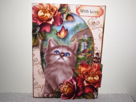Cottage Kitten with Sunset Roses & Butterfly by Wayne Swan