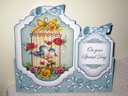 Love Birdcage Large Fancy Stand Up Card N Envelope Kit by Wayne Swan