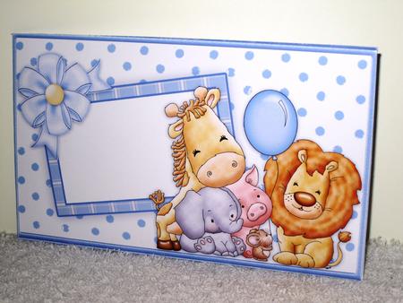 Animal Crew Baby Boy or Boys Birthday Money Wallet by Wayne Swan