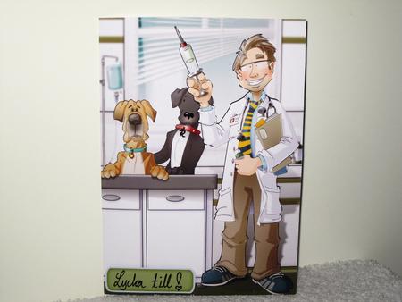 Vet Dude Great Dane by Wayne Swan