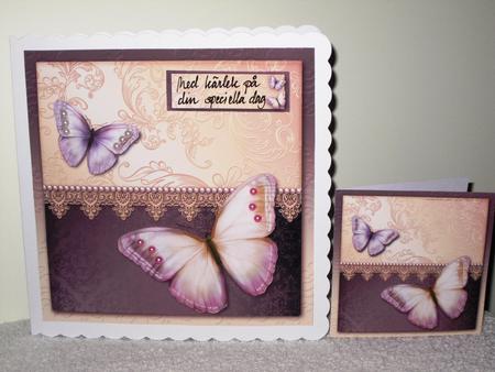 Peach Flutter Wallpaper by Wayne Swan
