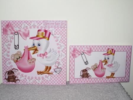 8x8 Welcome New Baby Girl Mini Kit by Wayne Swan