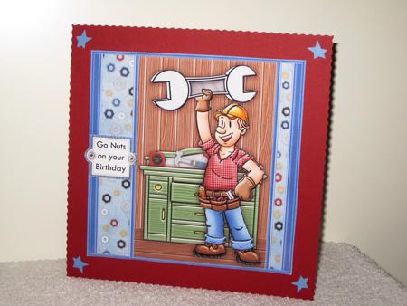 Go Nuts or Theres a Nut on the Loose Decoupage Mini Kit by Wayne Swan
