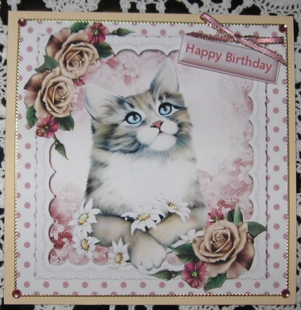 Pretty pink blush roses with kitten and polkadot 8x8 by Wendy De Winter