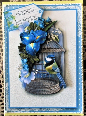 The Iris Bird Cage  by Wendy De Winter