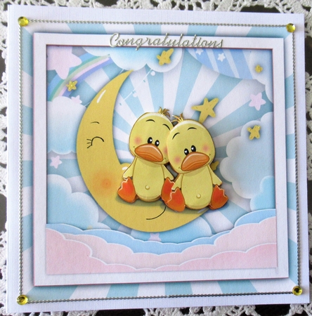 Ducks To The Moon and Back  by Wendy De Winter