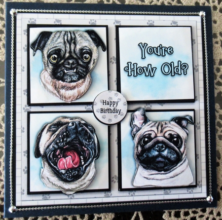 YOURE HOW OLD? by Wendy De Winter