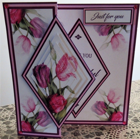 DFB Pink tulips by Wendy De Winter
