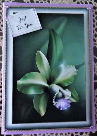 Simple Gorgeous Floral A5 9 by Wendy De Winter