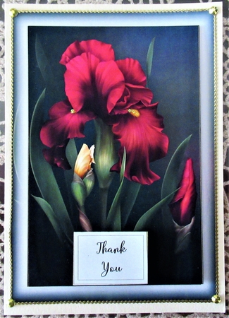 Simple Gorgeous Floral A5 26 by Wendy De Winter
