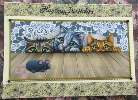 Funny Cats  by Wendy De Winter