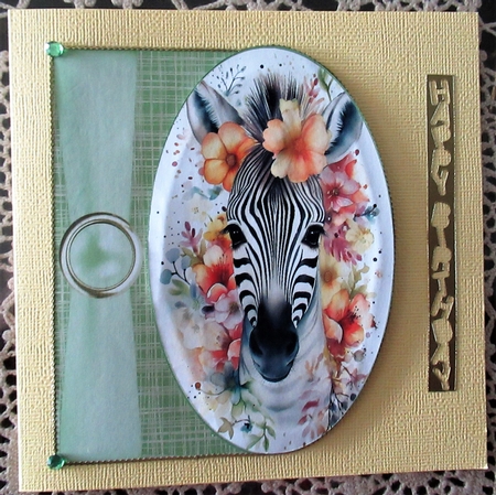 Cute baby zebra card front by Wendy De Winter