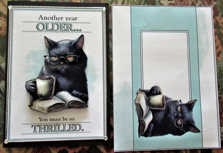 You Must Be Thrilled by Wendy De Winter