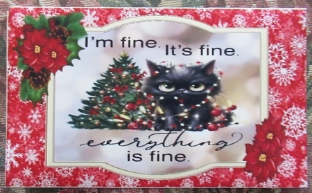 Im Fine. Its Fine. - Money Wallet by Wendy De Winter