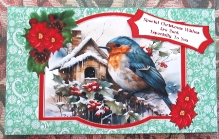 Christmas Robin, With Birdhouse - Money Wallet by Wendy De Winter