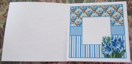 hyacinth bear insert by Wendy De Winter