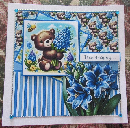 hyacinth bear by Wendy De Winter