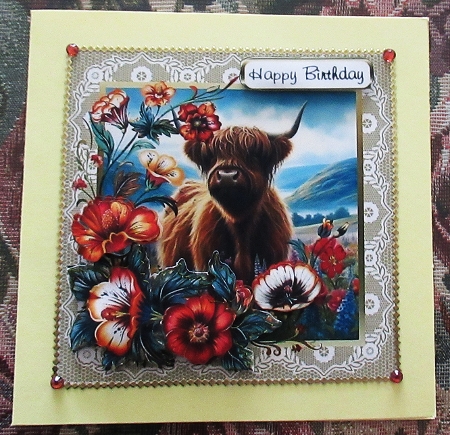 highland coo on lace  by Wendy De Winter