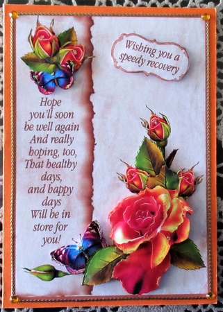 Rainbow Roses Get Well by Wendy De Winter