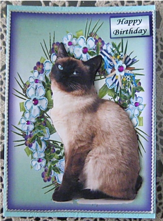 Love My Cat by Wendy De Winter