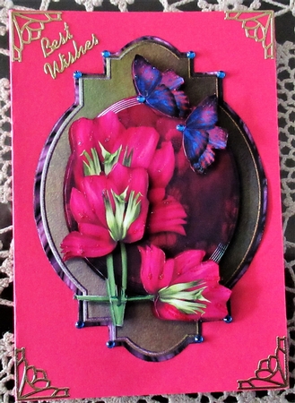 Panel Anemones by Wendy De Winter
